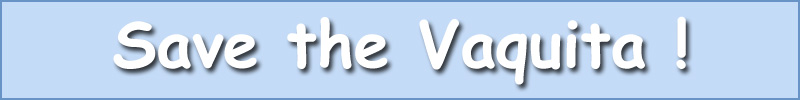 Save the Vaquita
